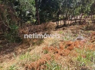 e245d9f9-ccac-4c9f-bc0f-afe2d1103b09.webp · Lote de 1.147,50 m² com Vista Definitiva para a Montanha no Vale do Tamanduá