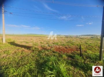 Terreno/Lote · Terreno (terreno normal)