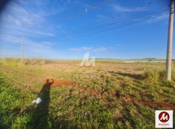 Terreno/Lote · Terreno (terreno normal)
