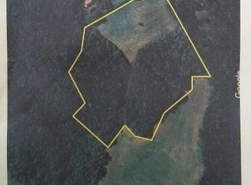 9b6bcaedcb14d9395ea96b31831d41235ee9281d · Área à venda, 48000 m² por R$ 900.000,00 - São Caetano - Balsa Nova/PR