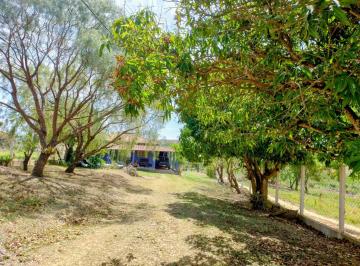 Rural de 2 quartos, Capela do Alto · Chácara á Venda com 12 mil metros em Capela do Alto - SP
