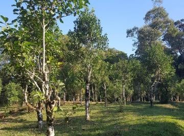 Rural , Piraquara · Oportunidade - Chácara  28.000m2 - para formar - Roça Nova  Piraquara