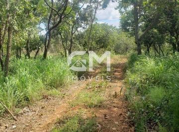 Rural · 40000m² · Chácara Escriturada/ 4 hectares/ Plana/Cerrado/Cercada/Aceita troca 61 3595-1212
