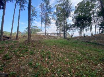 Foto 02 · Terreno de 1.500m² no Pantanal