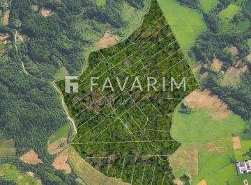 Comercial · 20000m² · Chácaras à venda em Campo Largo - Referência 173 P