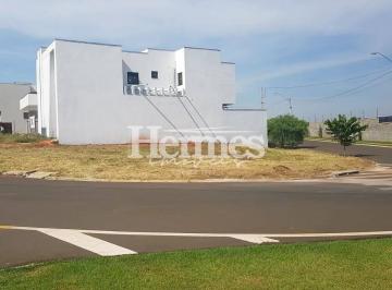 whatsapp-image-2025-09-29-at-13-51-331759508492698.jpeg · Imoveis - na Vila Monte Alegre