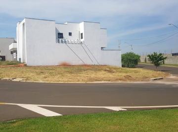 whatsapp-image-2025-09-29-at-13-51-331759508492698.jpeg · Imoveis - na Vila Monte Alegre