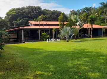 Rural · 22000m² · 3 Quartos · 6 Vagas · Chácara disponível para venda em área rural de Uberlândia-MG