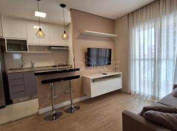 Apartamento · 36m² · 1 Quarto · Apartamento locação de 36m² no Anália Franco