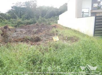 7562668.jpg · TERRENO N° 03 DA QUADRA 38