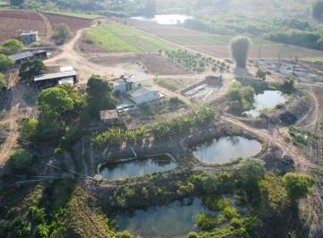 c9adf28ea093b28fa3ea262355359998d2447ef8 · Fazenda com 3 dormitórios à venda, 300000 m² por R$ 1.670.000 - Passa Tempo - Passa Tempo/MG