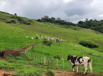 Foto 01 · FAZENDA COM 60 ALQUEIRES EM MUNHOZ/MG, DIVISA COM SOCORRO/SP