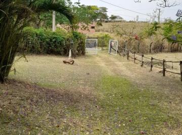 Terreno , São Pedro · EXCELENTE CHÁCARA - S.PEDRO-SP - BLACK FRIDAY