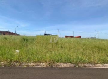 Foto 08 · Terreno para Venda - 250 M² - CONQUISTA