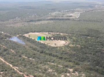 9160_i171jotvX9hymaw9Zbm2_916068e409fabdffa.jpg · Imoveis - na Zona Rural