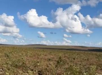 Rural · 8200ha · 3 Quartos · Fazenda a Venda Região Paranatinga - MT