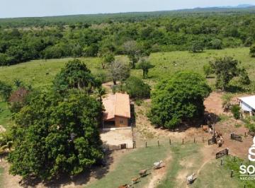Rural · 1422ha · 3 Quartos · FAZENDA DUPLA APTIDÃO PLANTAÇÃO E PECUÁRIA PALMEIROPOLIS - GO