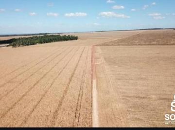 Rural · 39000ha · 3 Quartos · BELÍSSIMA FAZENDA DIPLA APTIDÃO