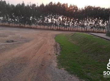 Rural · 49937ha · 3 Quartos · Vende esta propriedade de porteira fechada em nova Ubiratan - MT