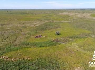 Rural · 88000ha · 3 Quartos · Fazenda a Venda no Pantanal de Poconé MT