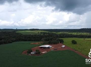 Rural · 1349ha · 3 Quartos · Vendo Fazenda de Agricultura Primavera do Leste/MT