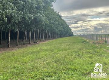 Rural · 17125ha · 3 Quartos · FAZENDÃO COM PISTA DE POUSO A VENDA NO TOCANTINS.