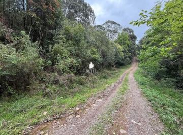 Rural · 2436m² · Área à venda no bairro Ana Rech - Caxias do Sul/RS