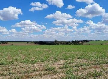 af9fb1be-0fcc-496c-a158-1df9f9128e73.jpg · Área Rural em Piracicaba, Sp com 41.600 m²