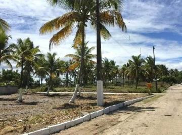 3e91a98f-b005-4ecc-becd-e44dc5e1f292.jpg · Terreno á venda 900 m² Porto de Galinhas - PE