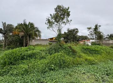 202510081448492361.jpeg · Terreno para Venda em Itanhaém, Palmeiras