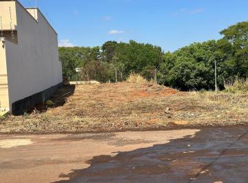 Foto 01 · Oportunidade imperdível: terreno à venda em Piracanjuba-GO, no bairro Recanto do Bosque, com infraes