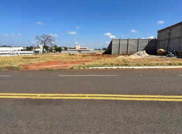 Foto 01 · Oportunidade Imperdível: Área Comercial à Venda em Piracanjuba-GO, Setor Norte! Aproveite Agora!