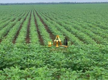 10f0111df228a2a2f4bae21362e3f13d13e0308b · Fazenda à Venda - Zona Rural - Araraquara/SP