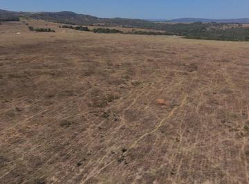 Foto 01 · Venda de Fazenda de Alto Padrão em Piracanjuba-GO, Bairro Zona Rural: Infraestrutura completa e loca