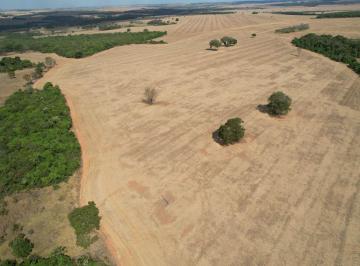 Foto 01 · Fazenda de alto potencial produtivo em Piracanjuba-GO, Zona Rural: oportunidade única de investiment