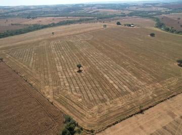 Foto 01 · Oportunidade única: Fazenda à venda em Piracanjuba-GO, Zona Rural, com vasta extensão de terras e in