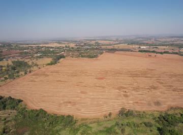 Foto 01 · Fazenda de alto potencial produtivo em Piracanjuba-GO, Zona Rural: oportunidade única de investiment