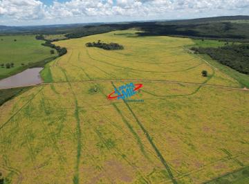 Foto 01 · Fazenda à venda em Piracanjuba-GO na Zona Rural com infraestrutura completa!