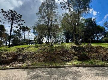 748523_iEfCvARD554_74852368e570af1e7b0.jpg · Lote 67 à venda no Araú
