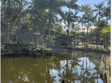 Foto 13 · Chácara excelente localização, 02 bosques, lago com peixes, com galpão e casa em Joinville SC