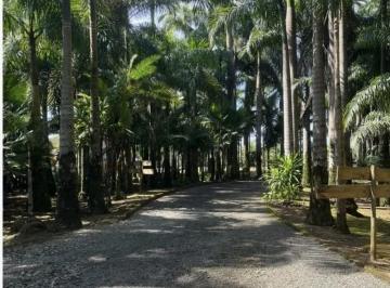 Foto 11 · Chácara excelente localização, 02 bosques, lago com peixes, com galpão e casa em Joinville SC