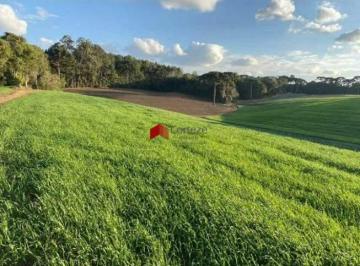 Rural · 57172m² · Chácara com 57.172,5m² , à venda, no bairro Colônia Murici em São José dos Pinhais