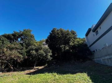 Terreno · 10m² · Terreno em Ingleses do Rio Vermelho, Florianópolis/SC de 10m² à venda por R$ 720.000,00