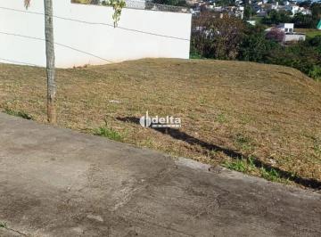 Terreno · 360m² · Terreno disponível para venda no bairro Vigilato Pereira em Uberlândia - MG.