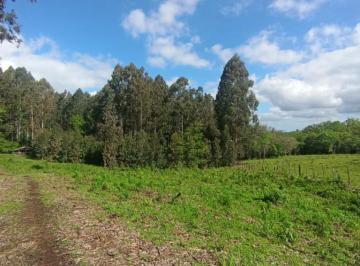824501.jpg · Sitio - Bairro Serra Grande