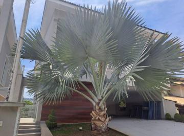 57efa56f3cc233271e23140b119c62b83b917318 · Casa com 4 dormitórios, 481 m² - venda por R$ 7.500.000,00 ou aluguel por R$ 35.000,02/mês - Residen