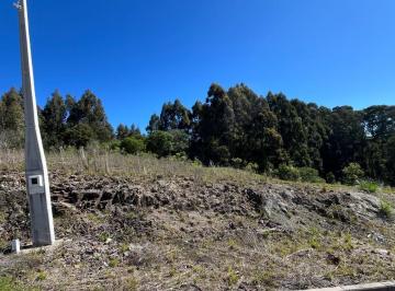 Foto 01 · Terreno, Villa Romana, Flores da Cunha, RS