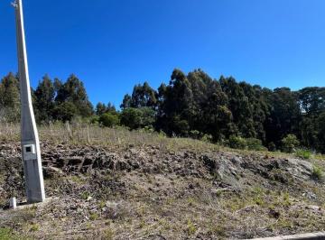 Foto 01 · Terreno - Flores da Cunha