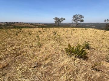 Rural , Luziânia · Oportunidade região do corumbá 4 vendo 34 hectares