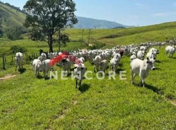 Rural · 3000m² · 10 Quartos · Sítio em Centro - Centro - Cachoeira Paulista/SP